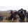 PlayStation Mount & Blade II: Bannerlord - 1070056 - zdjęcie 5